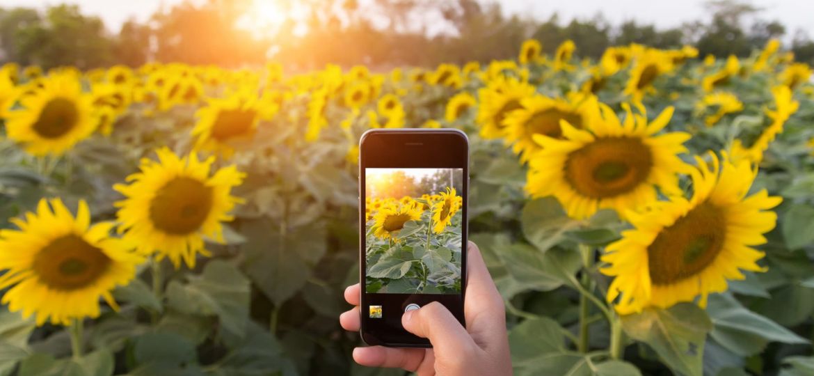 mobileremarketing_thumb-2048x1504 (1)